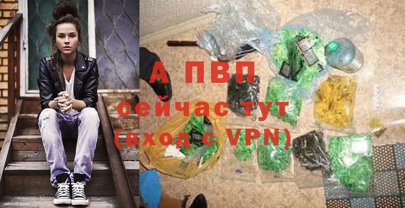 купить  сайты  Андреаполь  A-PVP СК 